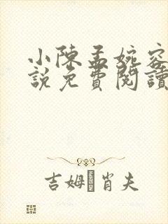 小陈孟婉容的小说免费阅读封面