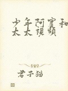 少年阿宾和房东太太视频