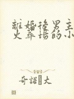 离婚后男主追妻火葬场的小说