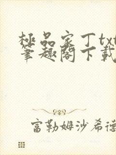 极品家丁txt笔趣阁下载