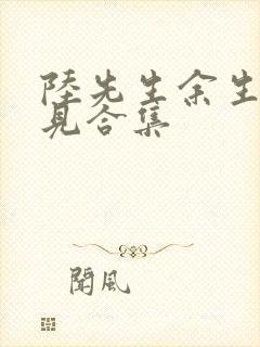 陆先生余生不再见合集