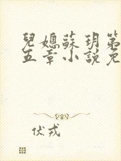 儿媳苏玥第四十五章小说免费阅读