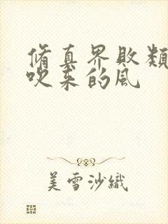 修真界败类大漠吹来的风