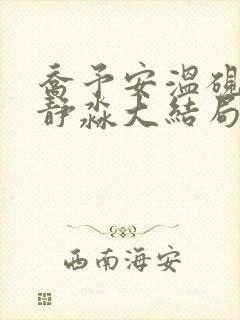 乔予安温砚深沈静淼大结局