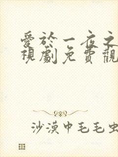 爱于一夜之间电视剧免费观看在线播放