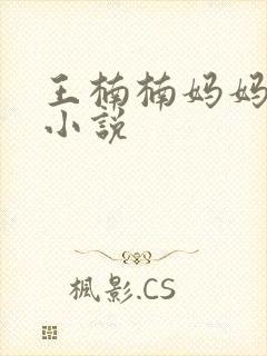 王楠楠妈妈王姨小说