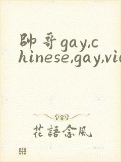 帅哥gay,chinese,gay,videos,gv,fees