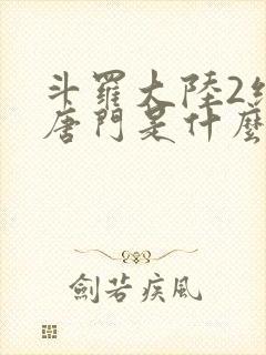 斗罗大陆2绝世唐门是什么时候出的