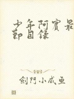 少年阿宾最新章节目录