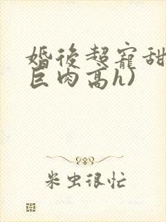 婚后超宠甜文(巨肉高h)