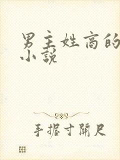 男主姓商的总裁小说封面