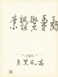 唐诚与马玉婷的小说免费阅读封面