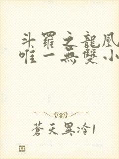 斗罗之龙凰传说唯一无双小说封面