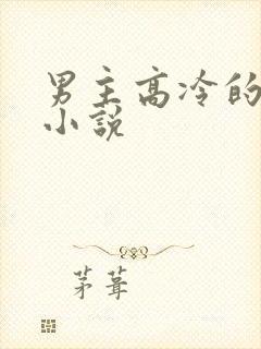 男主高冷的校园小说