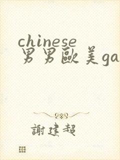 chinese男男欧美gay'gay封面