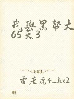 我与黑帮大佬365天3