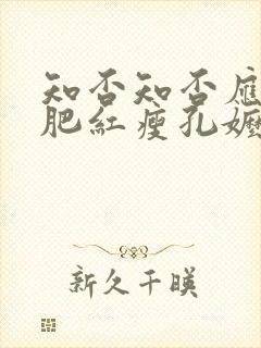 知否知否应是绿肥红瘦孔嬷嬷第几集封面