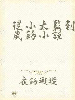 从小太监到九千岁的小说