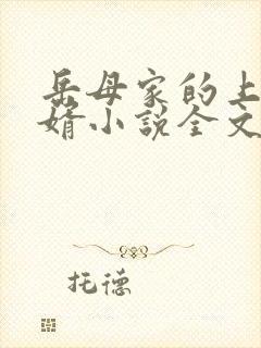 岳母家的上门女婿小说全文阅读