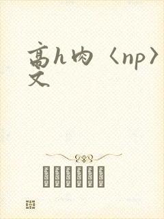 高h肉〈np〉文
