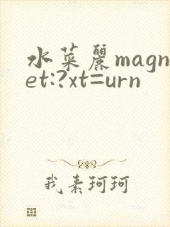 水菜丽magnet:?xt=urn