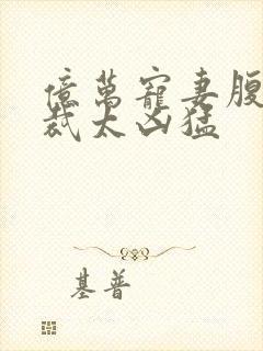 亿万宠妻腹黑总裁太凶猛封面