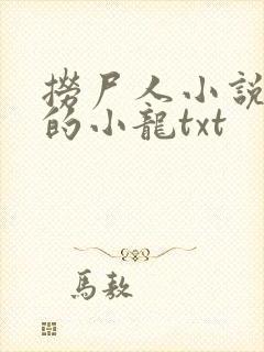 捞尸人小说纯洁的小龙txt