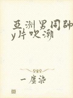 亚洲男同帅gay片吹潮