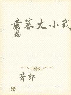 黄蓉大小武番外篇