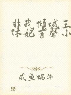 非我倾城王爷要休妃有声小说