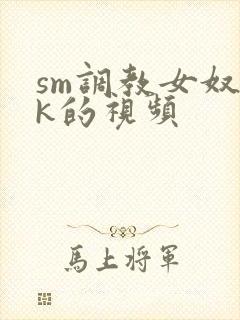 sm调教女奴vk的视频