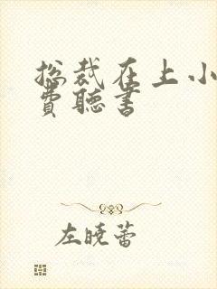 总裁在上小说免费听书封面