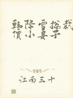 韩降雪总裁的天价小妻子