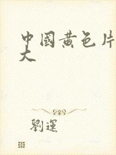 中国黄色片奶子大封面