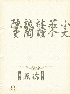 陈诚林薇小说免费阅读全文最新章节封面