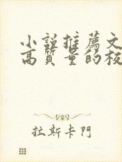 小说推荐文笔好高质量的校园文