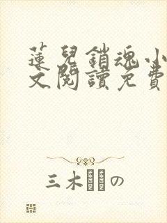 莲儿销魂小说全文阅读免费无弹窗