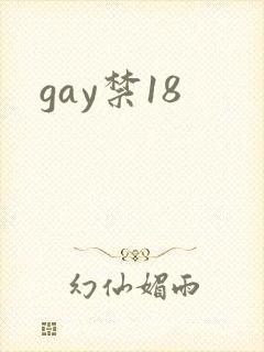 gay禁18