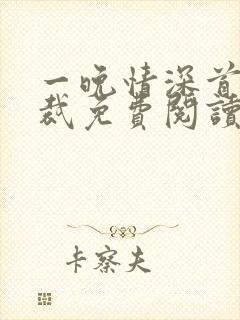 一晚情深首席总裁免费阅读