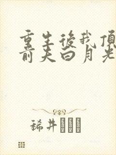 重生后我顶替了前夫白月光有声版