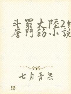 斗罗大陆2绝世唐门的小说