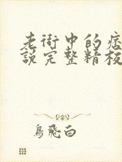 老街中的痞子小说完整精校版