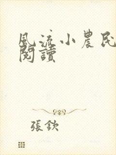 风流小农民全文阅读封面