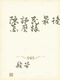 陈译民最后结局怎么样