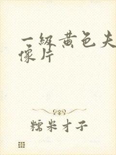 一级黄色夫妻录像片