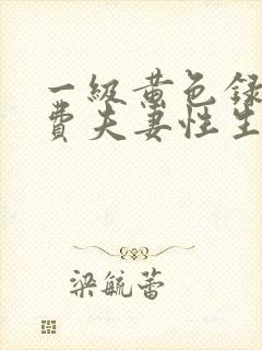 一级黄色录像免费夫妻性生活版