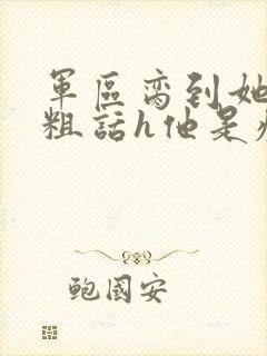 军区脔到她哭h粗话h他是疯批