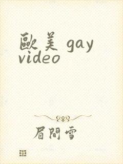 欧美 gay video