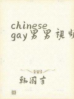 chinesegay男男视频