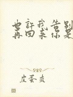 也许我告别将不再回来你是否明白